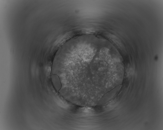 X0000089920427200707061023
