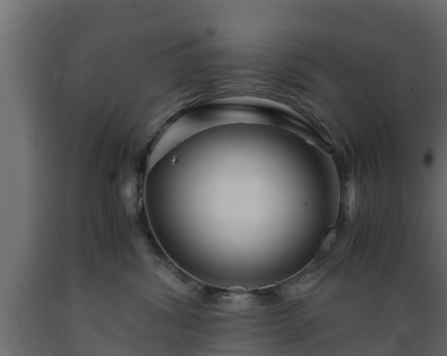 X0000089920428200707061023