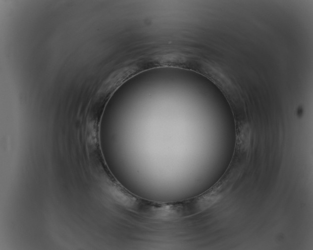 X0000089920430200707061023