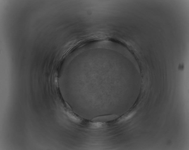 X0000089920432200707061023