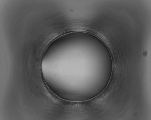 X0000089920433200707061022
