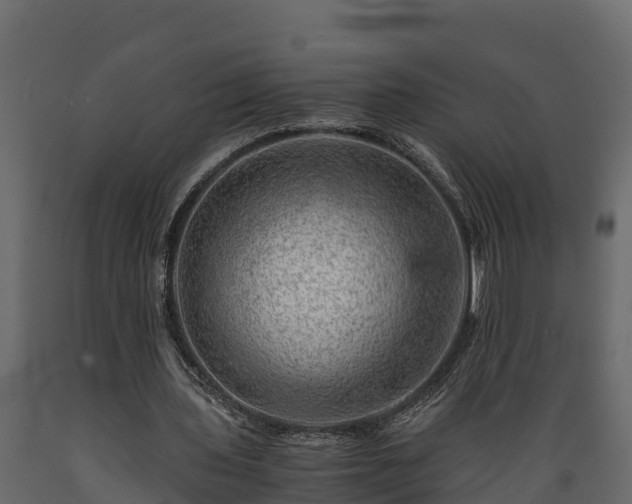 X0000089920435200707061022