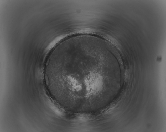 X0000089920436200707061022