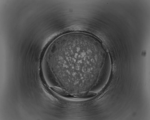 X0000089920438200707061022