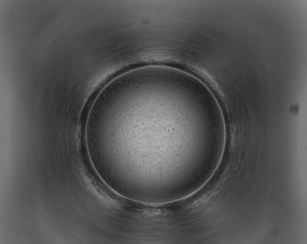 X0000089920439200707061022