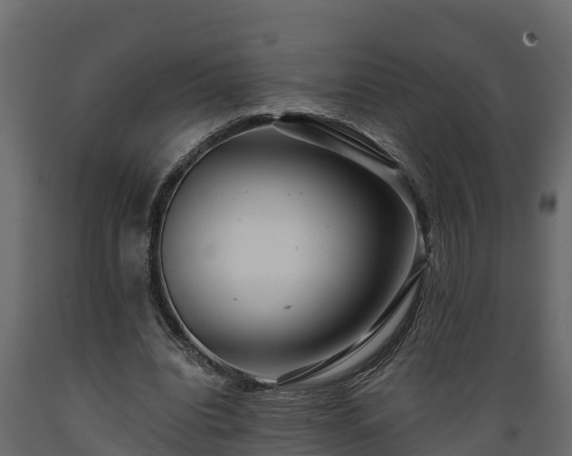 X0000089920440200707061022