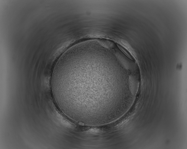 X0000089920441200707061022