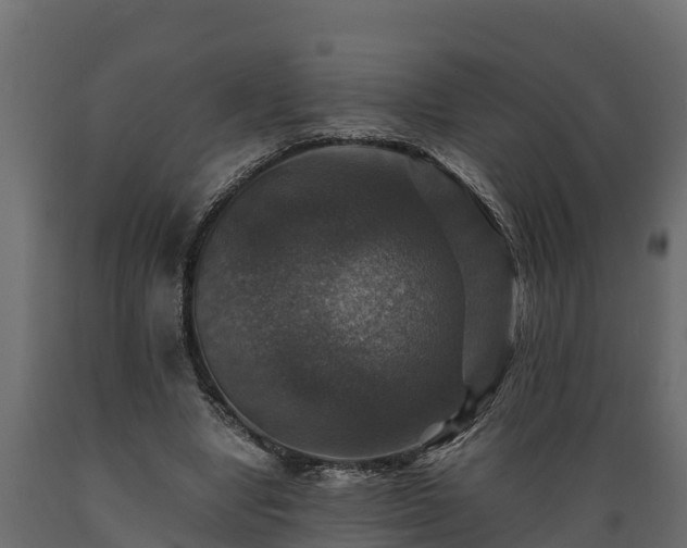 X0000089920442200707061022