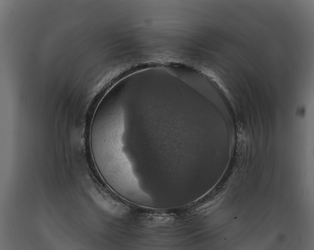 X0000089920443200707061022