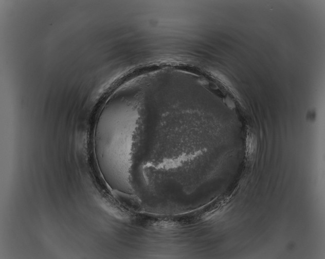 X0000089920444200707061022