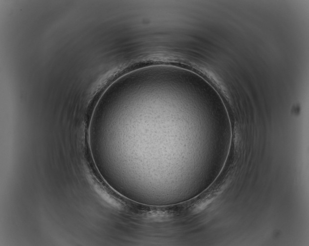 X0000089920445200707061022
