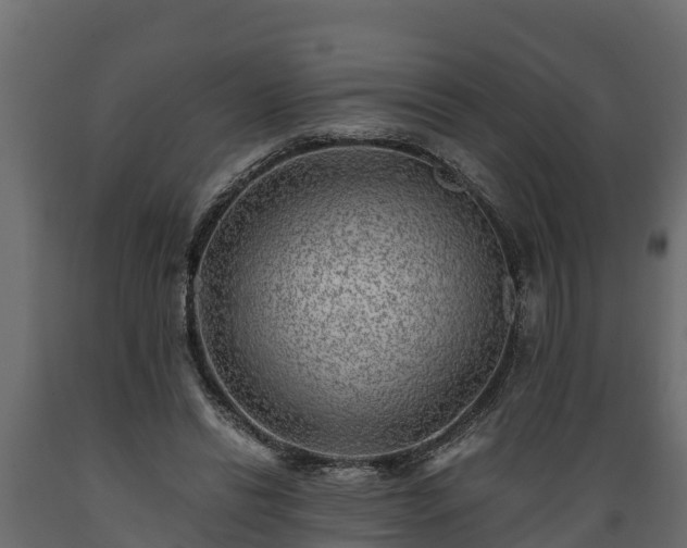 X0000089920446200707061022