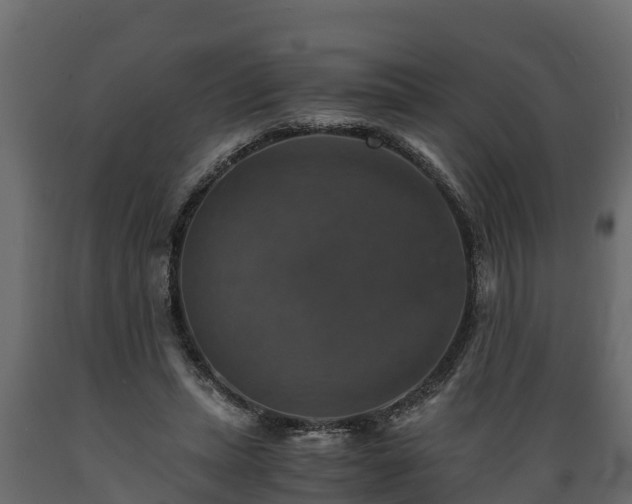 X0000089920447200707061022