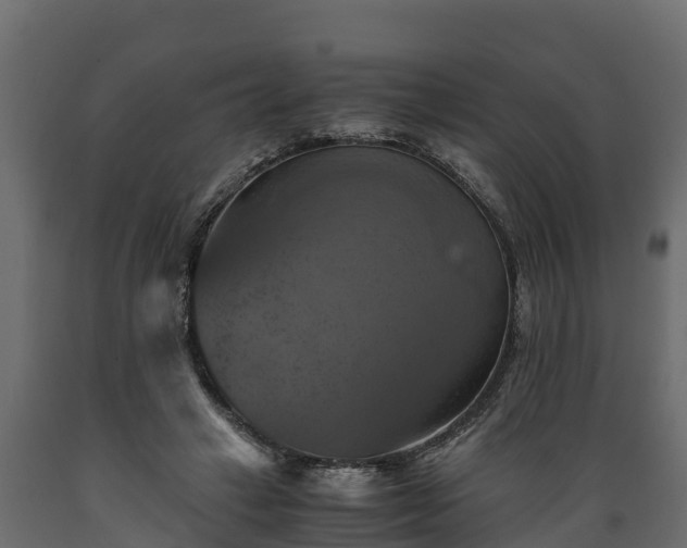 X0000089920449200707061022