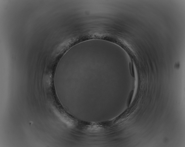 X0000089920451200707061022