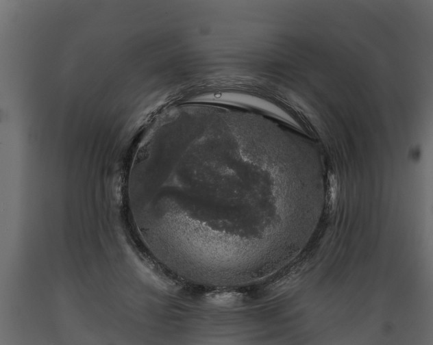 X0000089920452200707061022