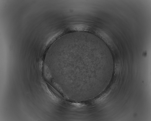 X0000089920453200707061022
