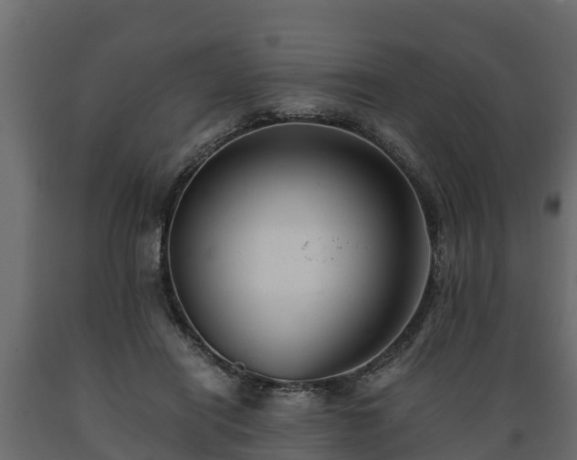 X0000089920454200707061022