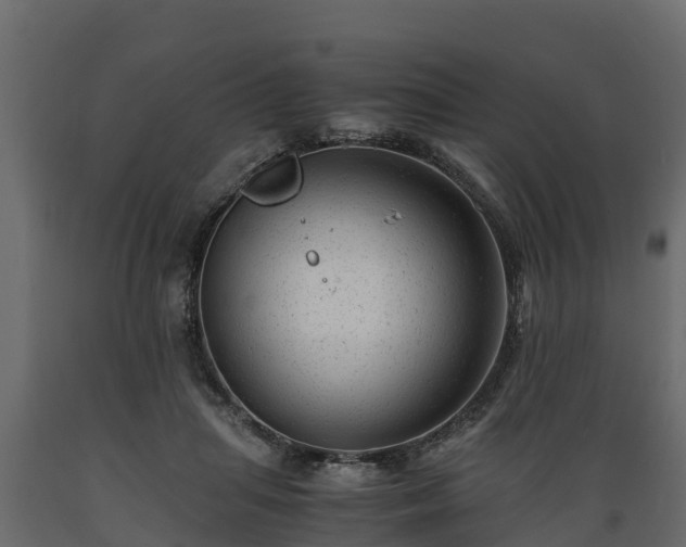 X0000089920455200707061022