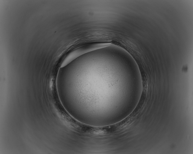 X0000089920456200707061022