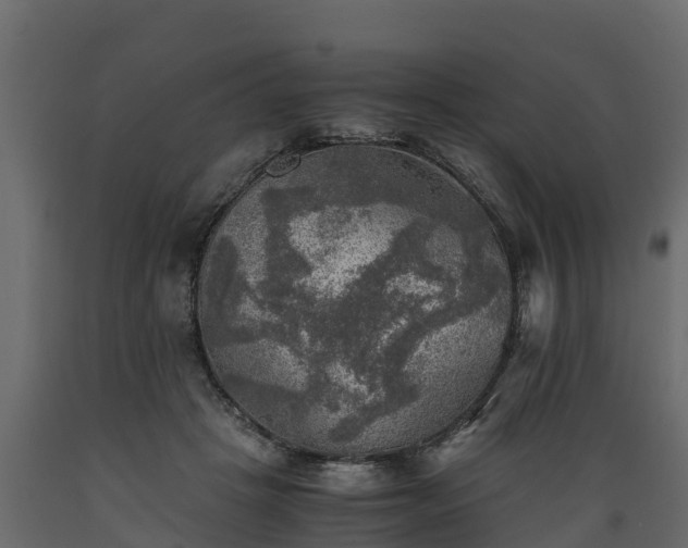 X0000089920457200707061022