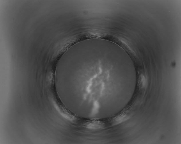 X0000089920459200707061022