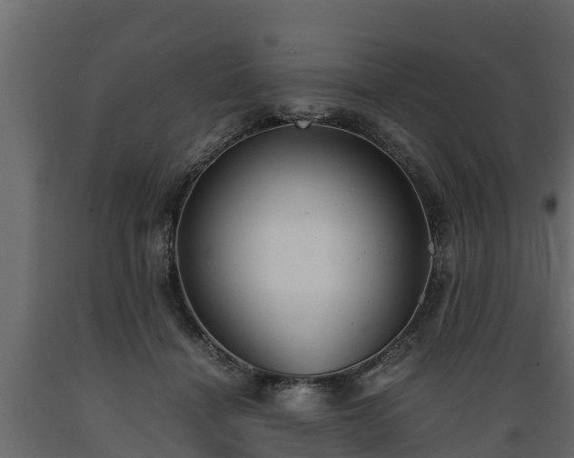X0000089920460200707061022