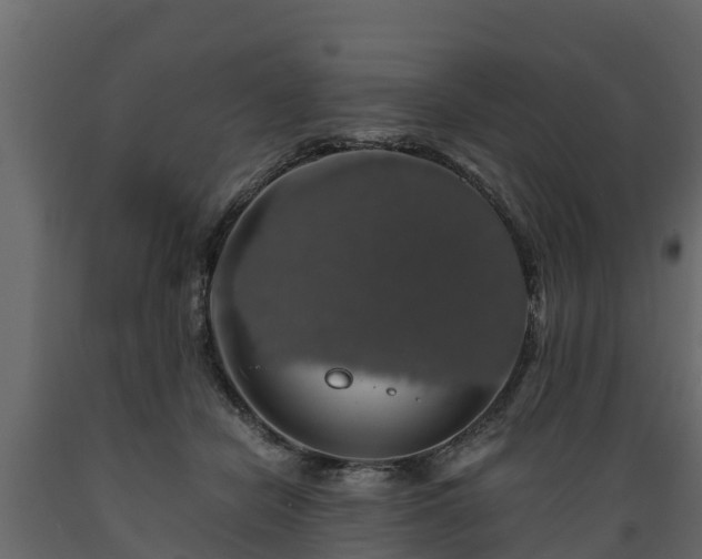 X0000089920462200707061022