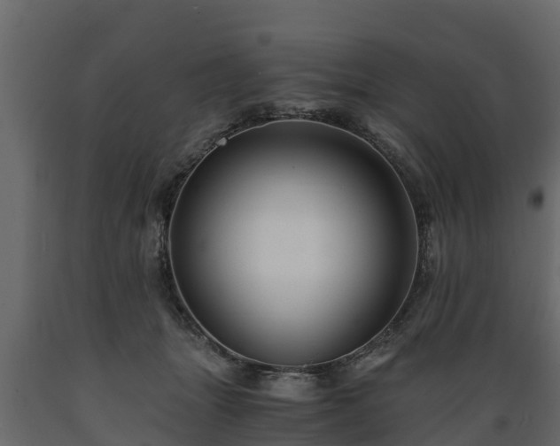 X0000089920463200707061022