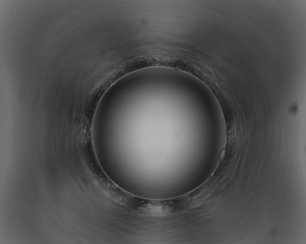X0000089920464200707061022
