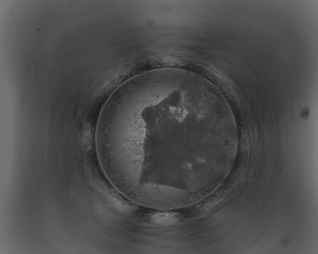 X0000089920465200707061022