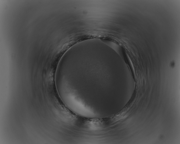 X0000089920466200707061022