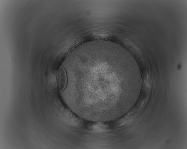 X0000089920468200707061022