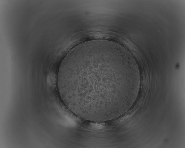 X0000089920469200707061022