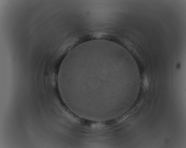 X0000089920470200707061022