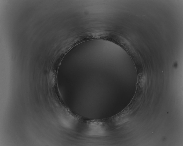 X0000089920471200707061023