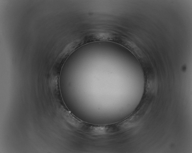 X0000089920473200707061023