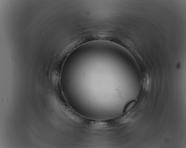 X0000089920476200707061023