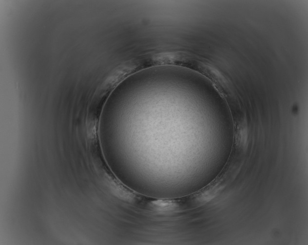 X0000089920477200707061023