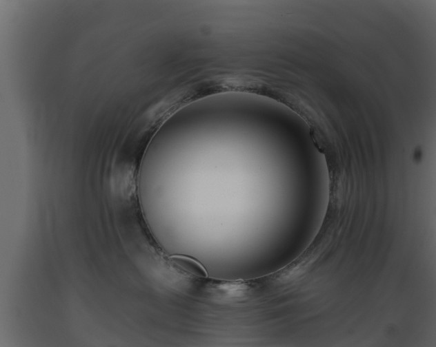 X0000089920478200707061023