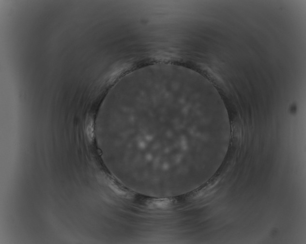 X0000089920479200707061023