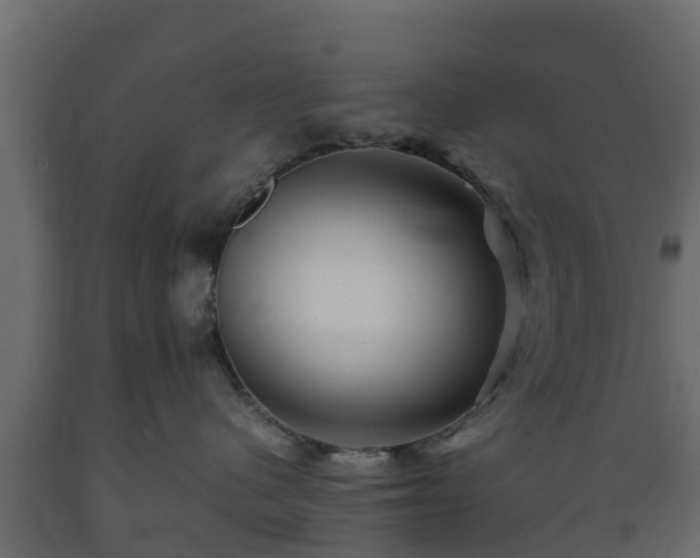 X0000089920480200707061023