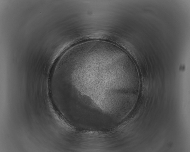 X0000089920482200707061022