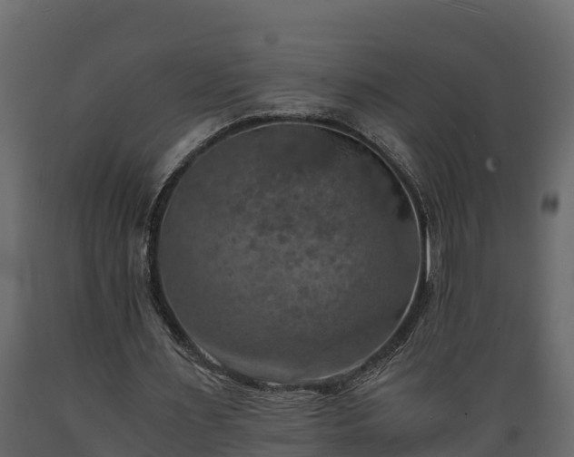 X0000089920483200707061022