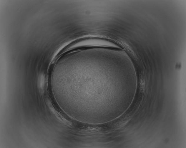 X0000089920484200707061022