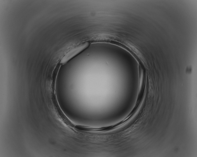 X0000089920485200707061022