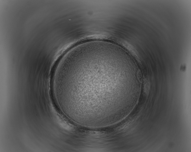 X0000089920486200707061022