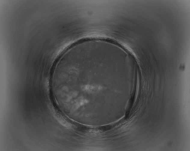 X0000089920487200707061022