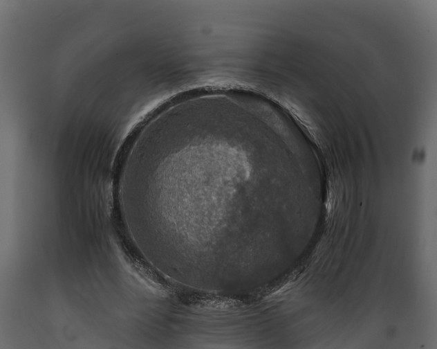 X0000089920488200707061022