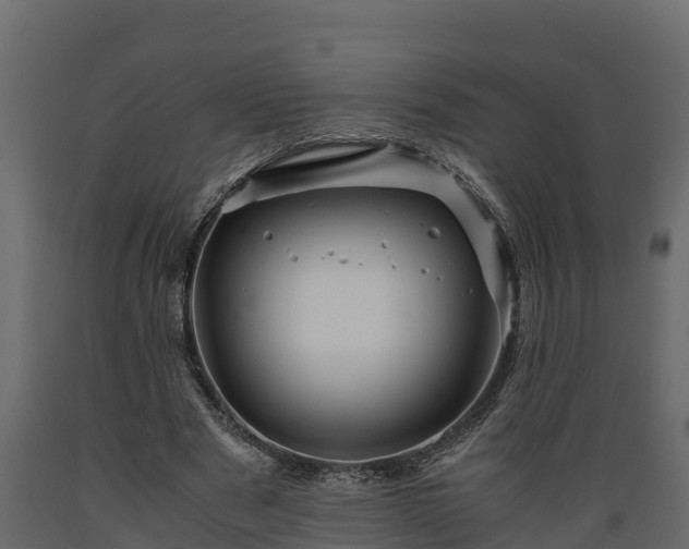 X0000089920489200707061022